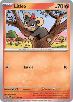 Litleo