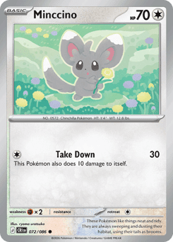 Minccino